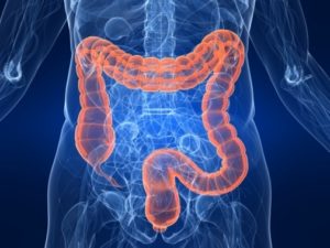 Gastro entérologie